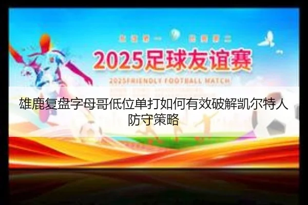 雄鹿复盘字母哥低位单打如何有效破解凯尔特人防守策略